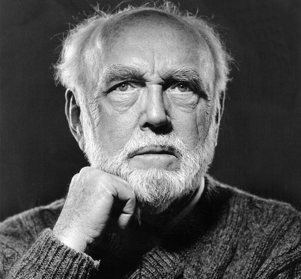 Niels Busch